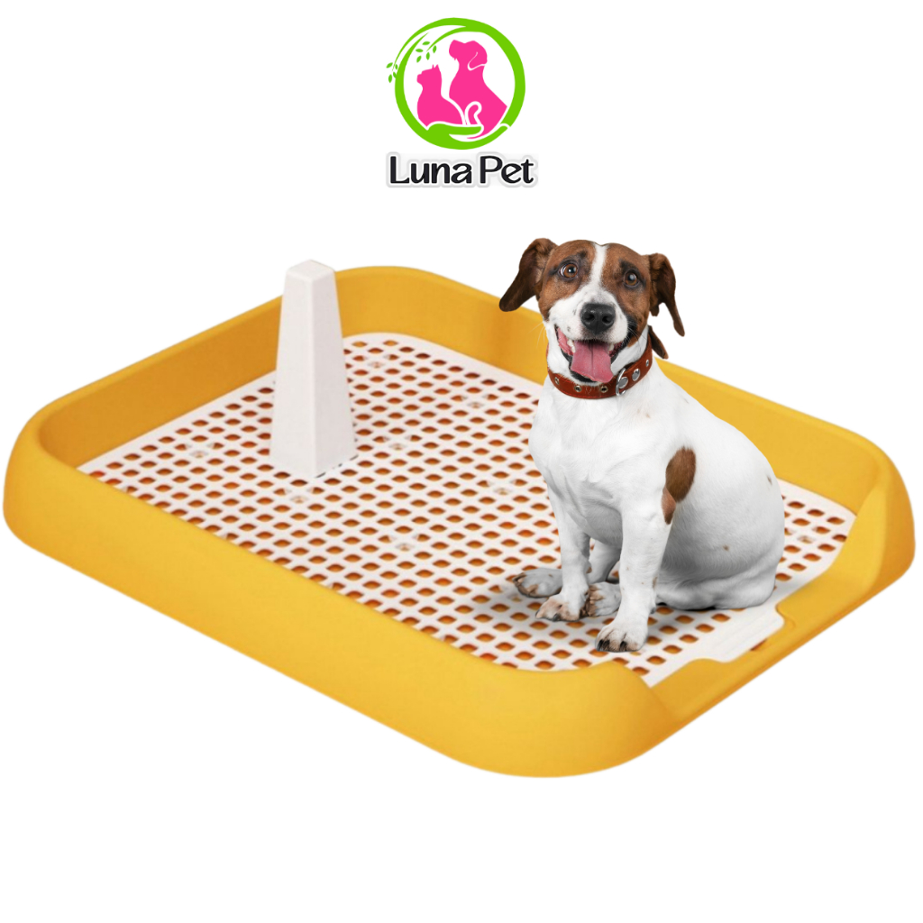 Khay vệ sinh cho chó nhỏ 5KG thành thấp LunaPet KC06 - Khay hướng dẫn cún đi vệ sinh