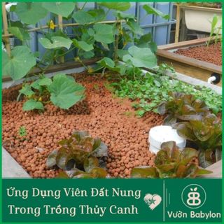VIÊN ĐẤT NUNG (SỎI NHẸ) SFARM 5DM3 (KT 10-20MM)