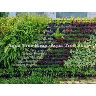 Bộ chậu vườn tường, module vườn tường đứng