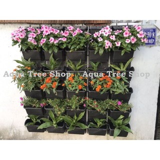 Bộ chậu vườn tường, module vườn tường đứng