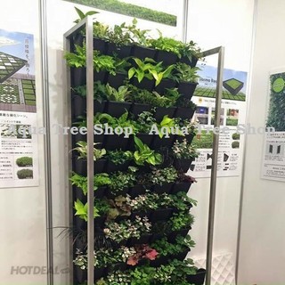 Bộ chậu vườn tường, module vườn tường đứng