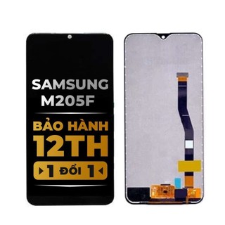 Màn hình điện thoại SS M20/M205F