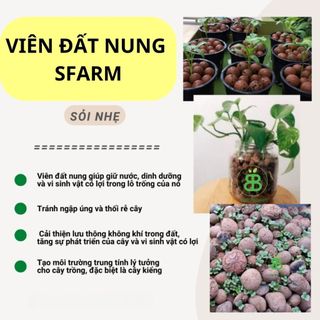 Viên đất nung SFARM (sỏi nhẹ) 5-10mm - Túi 5dm3
