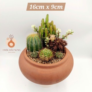 Chậu đất nung, chậu sen đá - NKC 169, miệng chậu 16cm, chiều cao 9cm