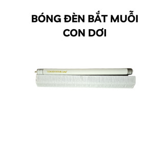 Bóng đèn bắt muỗi
