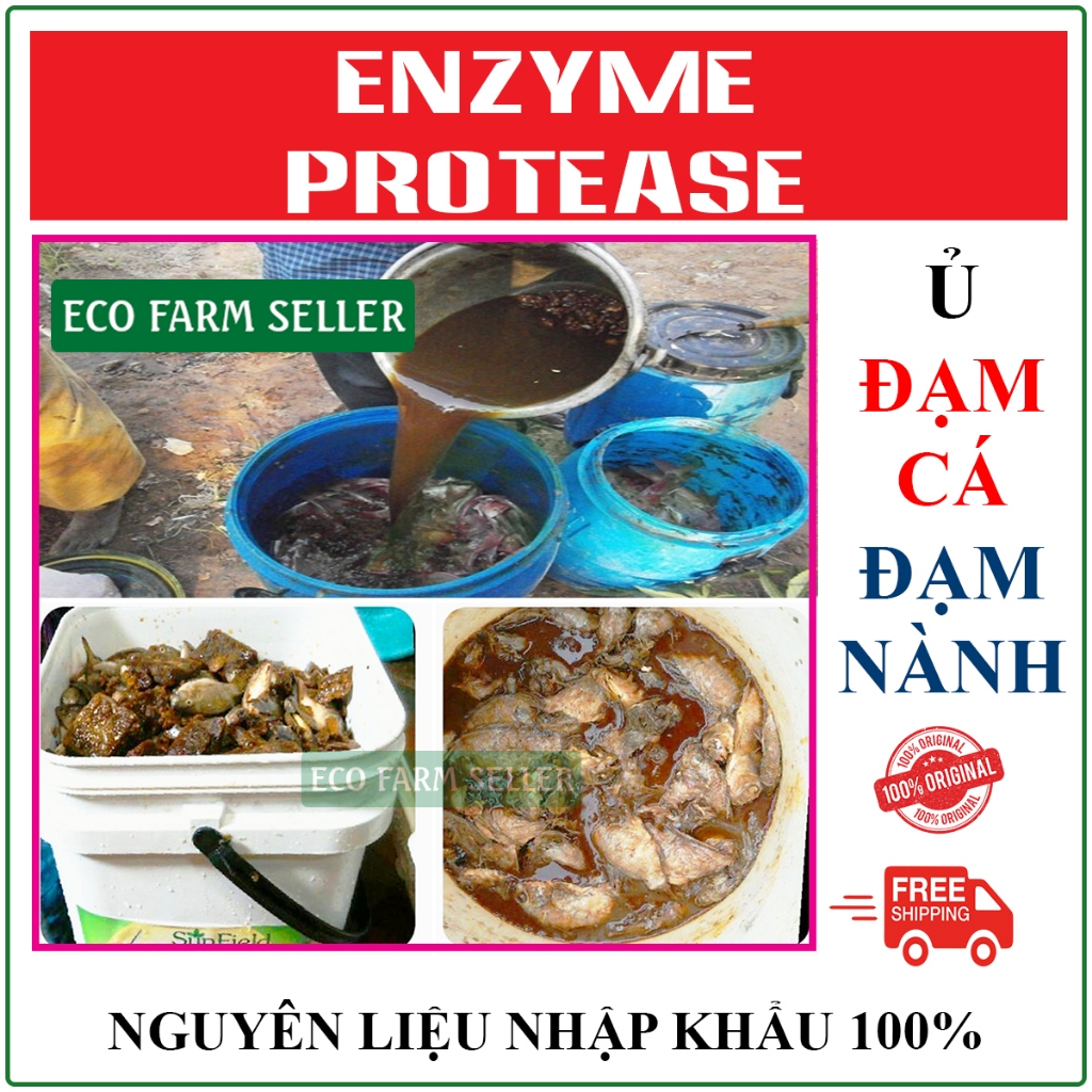 1 Kg Enzyme Protease  Ủ Phân Cá Đậm Đặc - Enzyme Ủ Đạm Nành