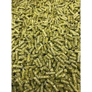  Cỏ Linh Lăng Alfalfa 3ly dành cho gà đá bọ thỏ...  500g  - Pet Food Store. 