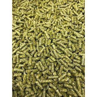 Cỏ Linh Lăng Alfalfa 3ly dành cho gà đá, bọ, thỏ... (100g) - Pet Food Store.