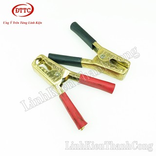 Kẹp Acquy 100A