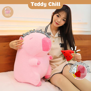  Gấu Bông Capybara Màu Hồng Rút Dưa Hấu Đáng Yêu Phù Hợp Làm Quà Tặng Bạn Gái Người Yêu 