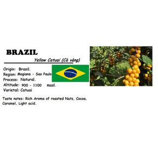 HẠT - 2 TÚI 250 GRAM (Gross Weight) - CÀ PHÊ YELLOW CATUAI (ARABICA) VÙNG MOGIANA - SAO PAULO - BRAZIL - RANG MỘC.