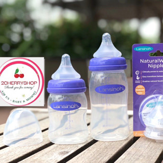 Bình sữa Lansinoh Momma 160ml 240ml [Hàng Mỹ]