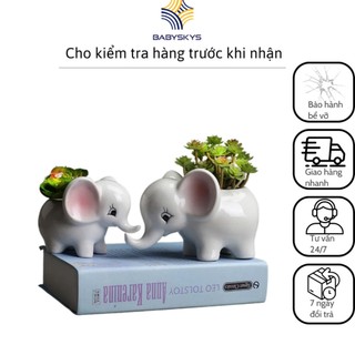 Chậu Trồng Cây Hình Voi, Trồng Sen Đá Xương Rồng Có Lỗ Thoát Nước Chậu Không Cây