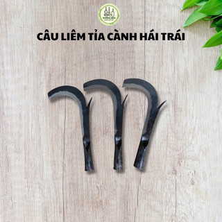 Câu liêm hái trái dừa trái cây ngoắc tỉa cành siêu sắc hàng chuẩn loại 1