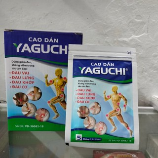 Cao dán thảo dược YAGUCHI giảm đau cơ, khớp hộp 20 gói
