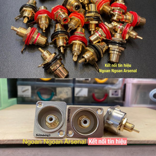 Jack Av hoa sen RCA âm hàn máy nhập khẩu chất lượng