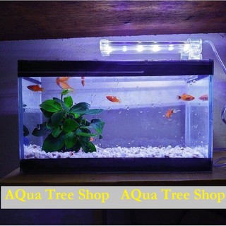 Đèn led bể cá D40/D30/D20/D10 kẹp thành bể, dành cho bể từ 15-60cm ánh sáng trắng xanh rất đẹp