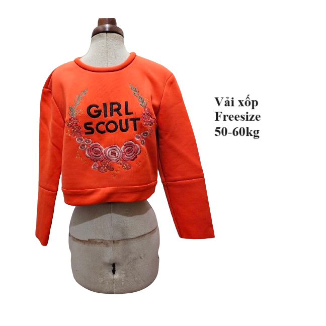 Áo croptop thu đông kiểu