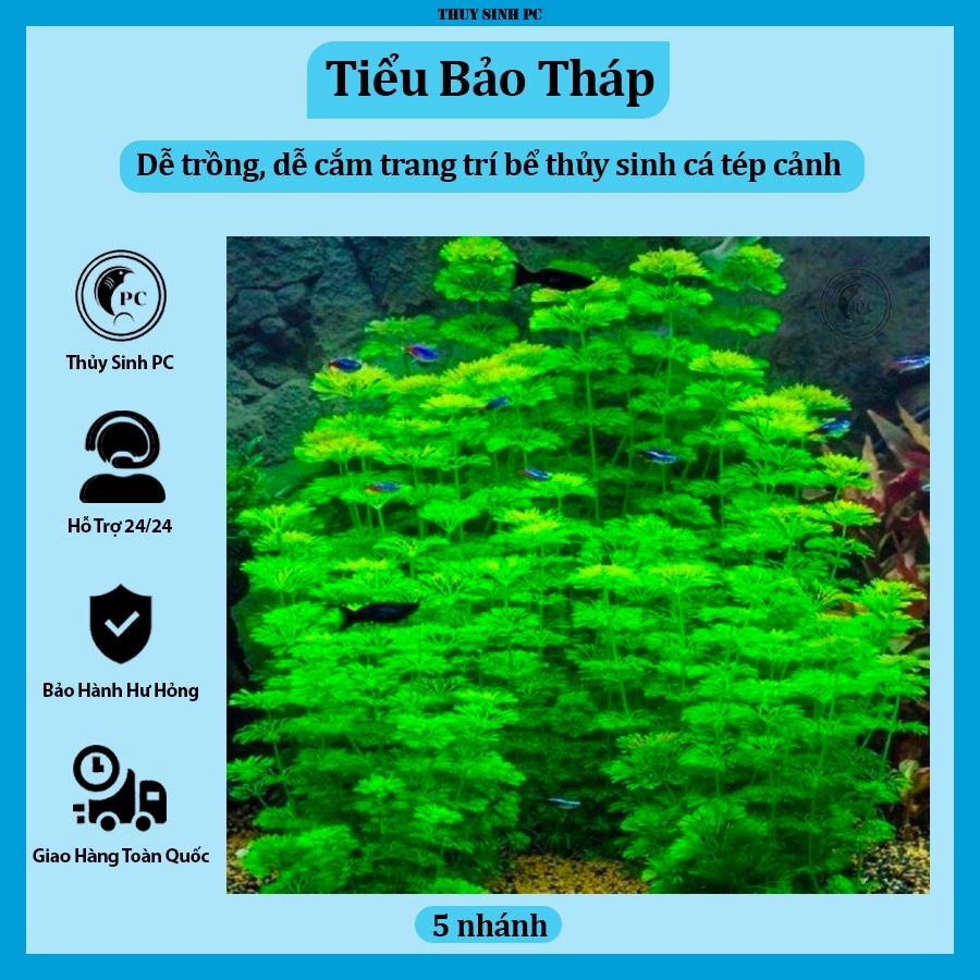 [5 nhánh] cây thủy sinh Tiểu Bảo Tháp trang trí bể cá cảnh