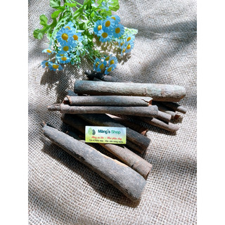Vỏ quế khô thơm cay gói 50g-100g