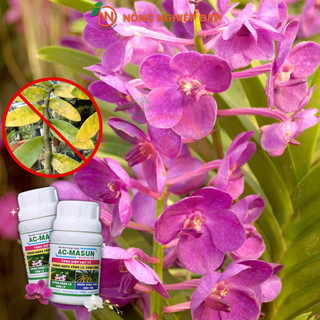 Phân Bón AC MASUN Hũ 100g – Phân Bón Trung Lượng Manhe - Sunfat Chống Vàng Lá, Vàng Cành