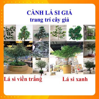 Lá giả, lá si, cây giả, xanh, viền trắng