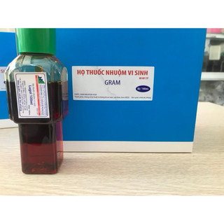 BỘ NHUỘM GRAM 100 ML
