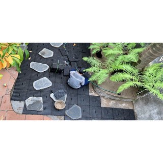 Tấm vỉ thoát nước 33x33x3cm