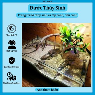Đước thủy sinh trang trí bể thủy sinh cá cảnh biotope