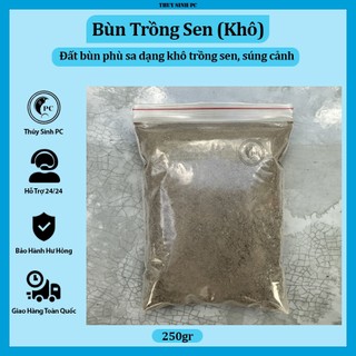 Bùn khô trồng sen súng cảnh