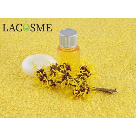1kg Chiết xuất cây phỉ Lacosme