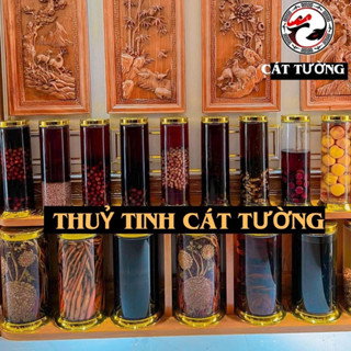  Bình thủy tinh Việt Nam Phú Hòa 10,8L 13,8L 16,8L 17,8L 21,8L 25,8L ngâm rượu sâm Đông trùng hạ thảo Nấm linh chi 