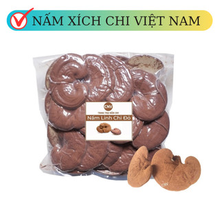Nấm linh chi đỏ cao cấp việt nam cnv 500g