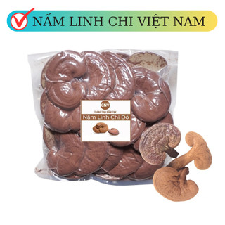 Nấm linh chi đỏ Việt Nam 500g (Nguyên bào tử) - Cây Nấm Việt