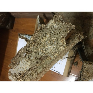 Hộp nhử mối