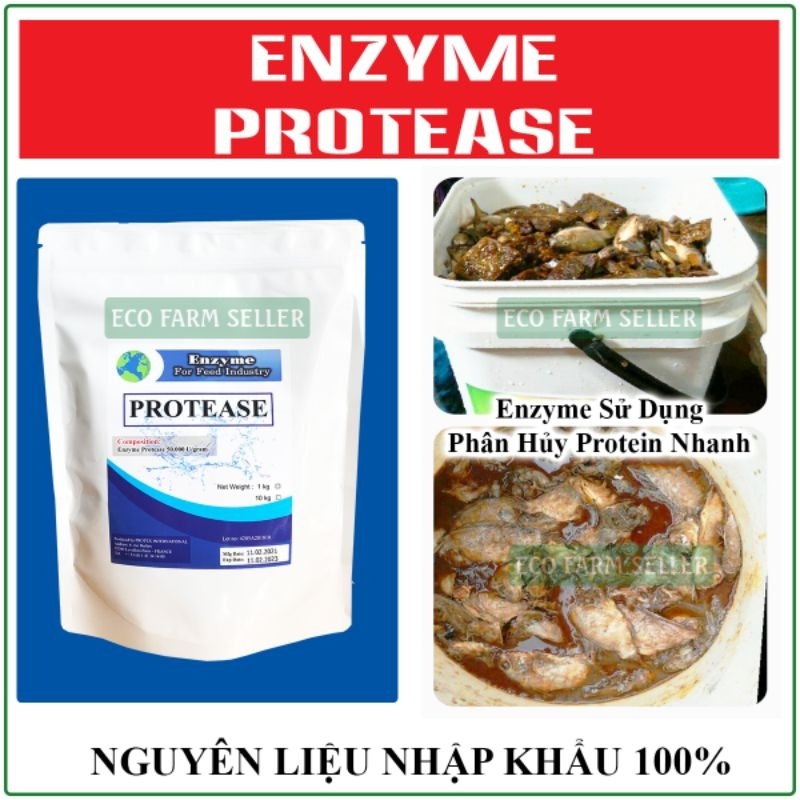 Gói 1kg Men Ủ Phân Cá Enzyme Protease - Xử Lý Nước Nguyên Liệu Nhập Khẩu 100%