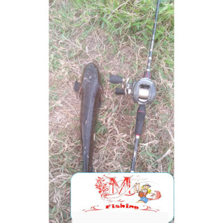 Mồi Lure Cá Lóc V5 Rất Hiệu Quả