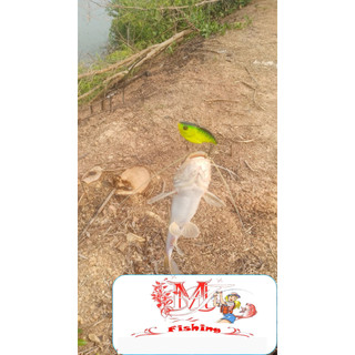 Mồi Lure Cá Lóc V5 Rất Hiệu Quả