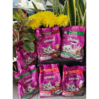  Thức ăn hạt khô dành cho Mèo trưởng thành Whiskas Adult 1.2kg 