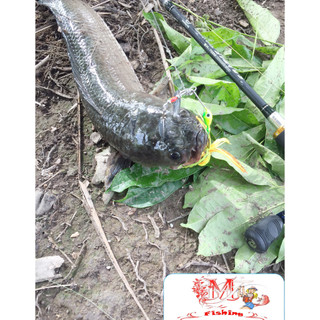 Mồi Lure Lóc Mini Spinerbait DRAVE