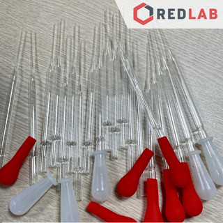 Combo Pipet Paster Thủy Tinh 15cm và Quả bóp Cao su / Silicon