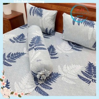 Bộ drap Ga gối thun lạnh kẻ 4 món đủ size