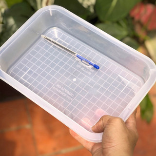 [SET 5 CÁI] Khay nhựa rau câu chữ nhật size 02 khay đa năng trong suốt (27.5 x 19 x 5cm)