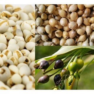 Hạt ý dĩ hữu cơ Arowhead Mills organic - hanzomart