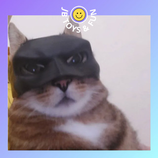 Mặt nạ Batman cho mèo siêu ngầu bằng nhựa in 3D chất lượng