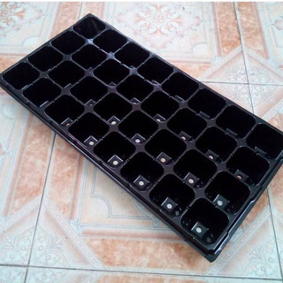 khay vỉ ươm hạt giống cây rau củ quả đu đủ cà chua 5 vỉ