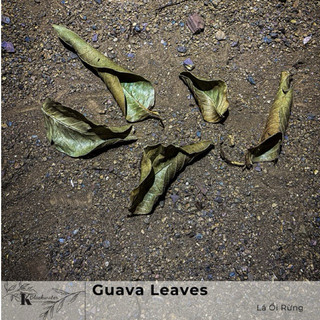 Guava Leaves|Lá Ổi Rừng|Trang trí bể Thủy Sinh,Biotope,BlackWater|Giảm PH,Tạo Màu Nước,Giảm Stress Cho Cá,Tép,...
