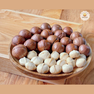 500G Hạt Macca Daklak Sấy Giòn Size 23-27, Mua Hạt Mắc Ca Nứt Vỏ Không Qua Trung Gian