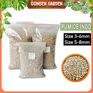 Đá Pumice Indo Size 3-6/ 5-8mm Giá Thể Trồng Sen Đá, Xương Rồng