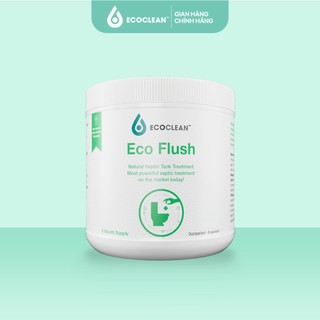 Hộp 6 Gói Men vi sinh EcoFlush – Xử Lý Thông Tắc Bồn Cầu, Khử Mùi, Giảm Đầy Bể Phốt - KPT CHEM